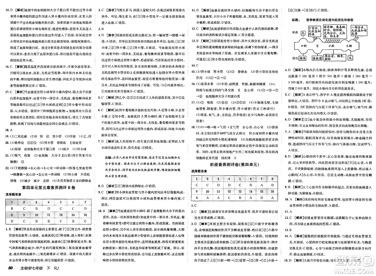 新疆青少年出版社2025年春神龍教育非常海淀單元測試AB卷七年級生物下冊人教版答案