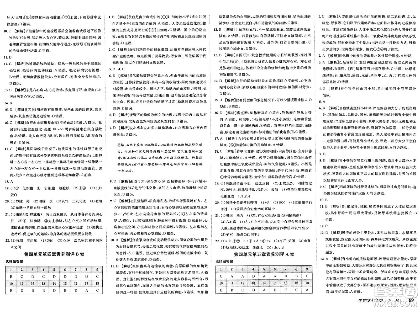 新疆青少年出版社2025年春神龍教育非常海淀單元測試AB卷七年級生物下冊人教版答案