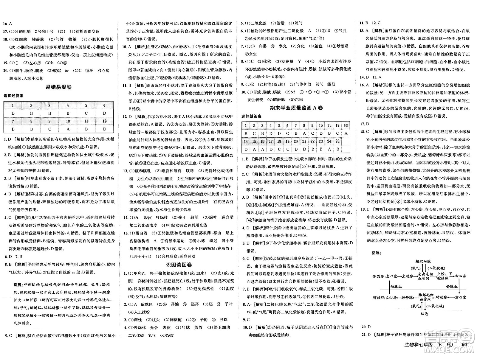 新疆青少年出版社2025年春神龍教育非常海淀單元測試AB卷七年級生物下冊人教版答案