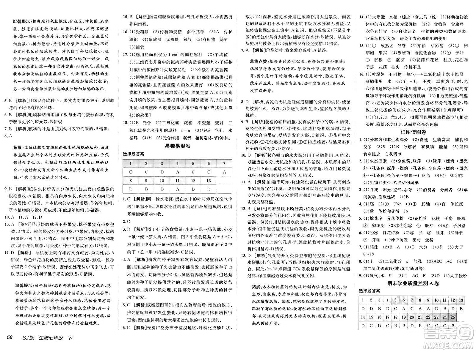 新疆青少年出版社2025年春神龍教育非常海淀單元測試AB卷七年級生物下冊蘇教版答案