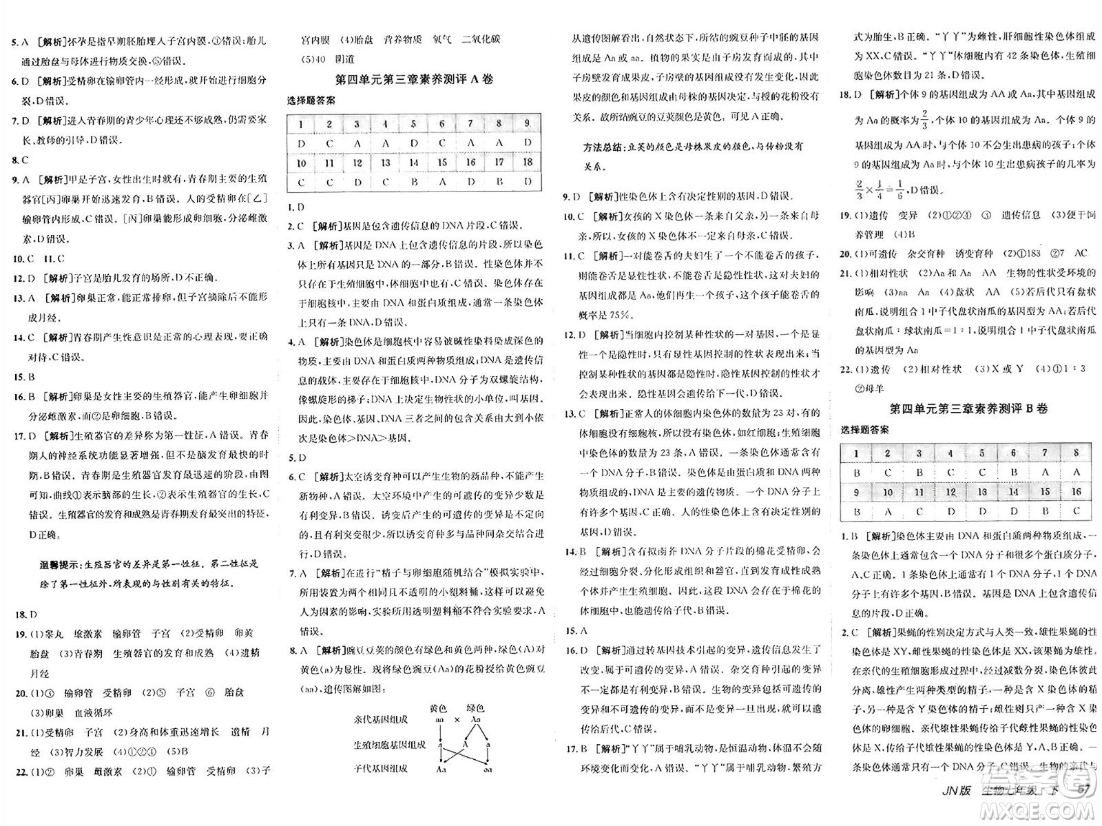 新疆青少年出版社2025年春神龍教育非常海淀單元測試AB卷七年級生物下冊濟(jì)南版答案