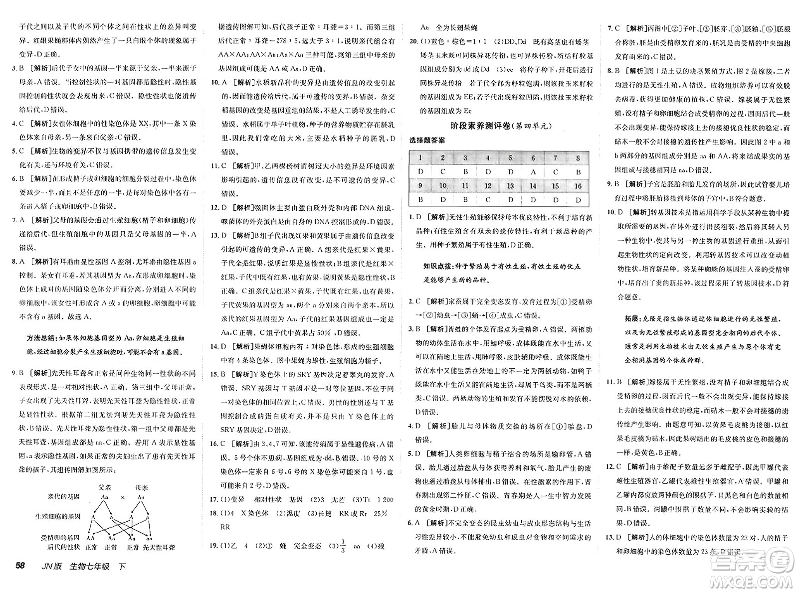 新疆青少年出版社2025年春神龍教育非常海淀單元測試AB卷七年級生物下冊濟(jì)南版答案