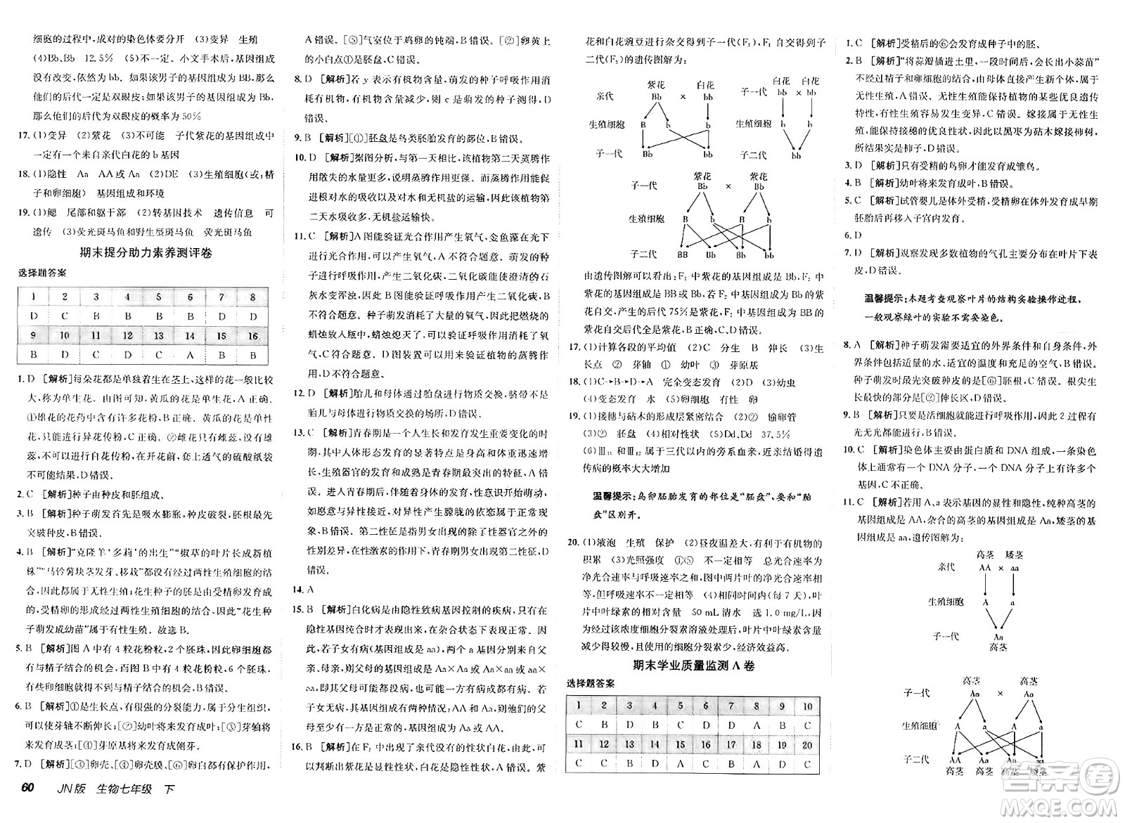 新疆青少年出版社2025年春神龍教育非常海淀單元測試AB卷七年級生物下冊濟(jì)南版答案