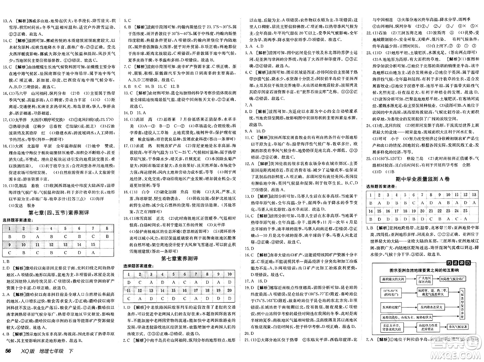 新疆青少年出版社2025年春神龍教育非常海淀單元測試AB卷七年級地理下冊商務(wù)星球版答案