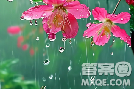 成長(zhǎng)中的選擇材料作文600字 關(guān)于成長(zhǎng)中的選擇的材料作文600字