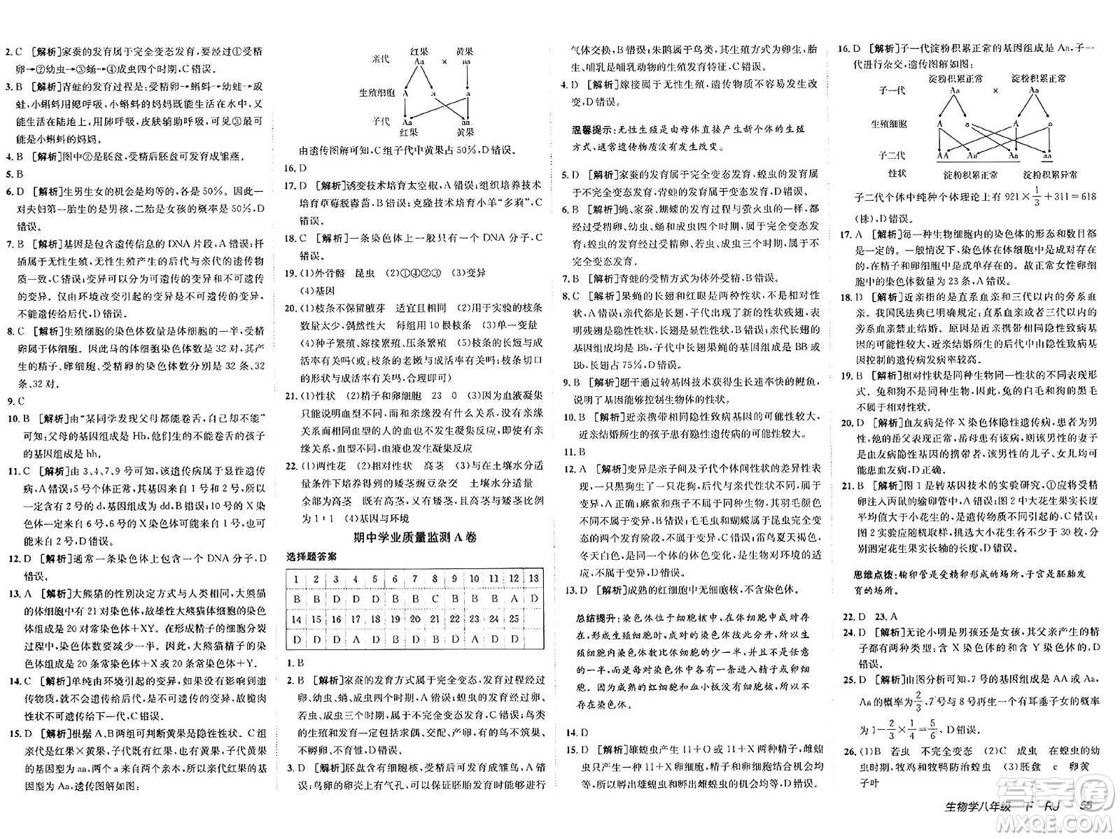新疆青少年出版社2025年春神龍教育非常海淀單元測(cè)試AB卷八年級(jí)生物下冊(cè)人教版答案