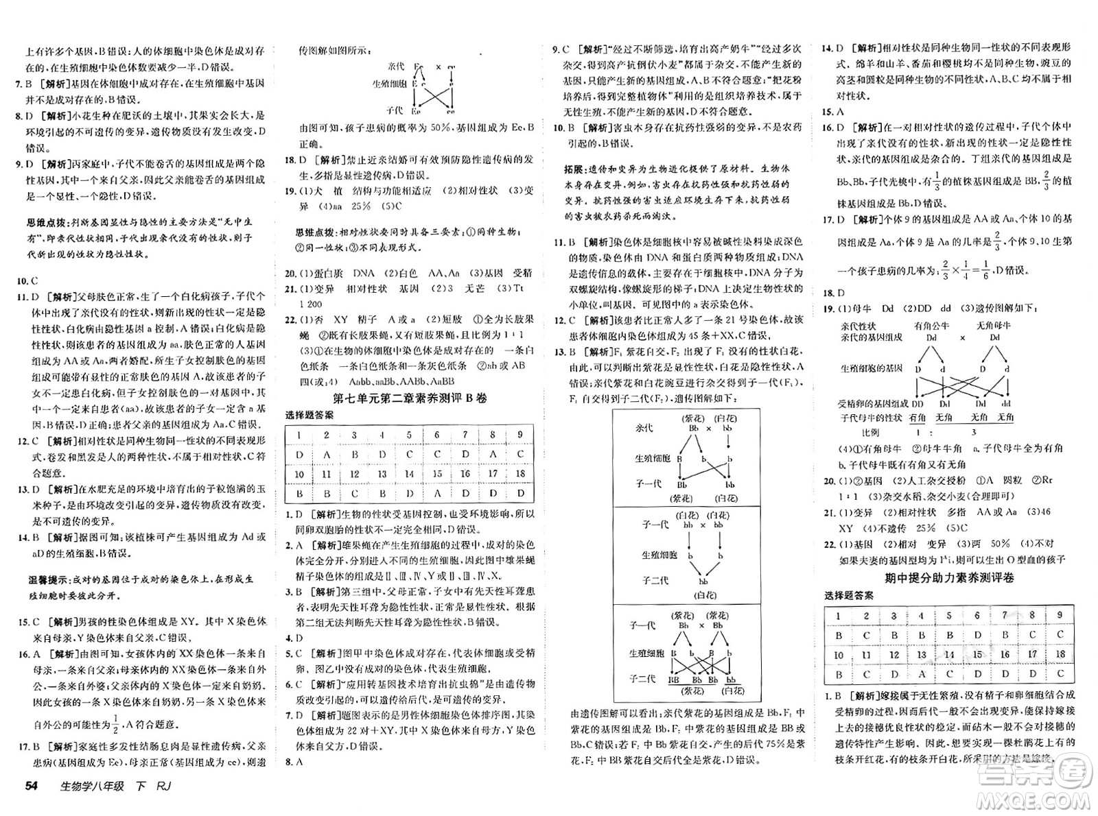 新疆青少年出版社2025年春神龍教育非常海淀單元測(cè)試AB卷八年級(jí)生物下冊(cè)人教版答案