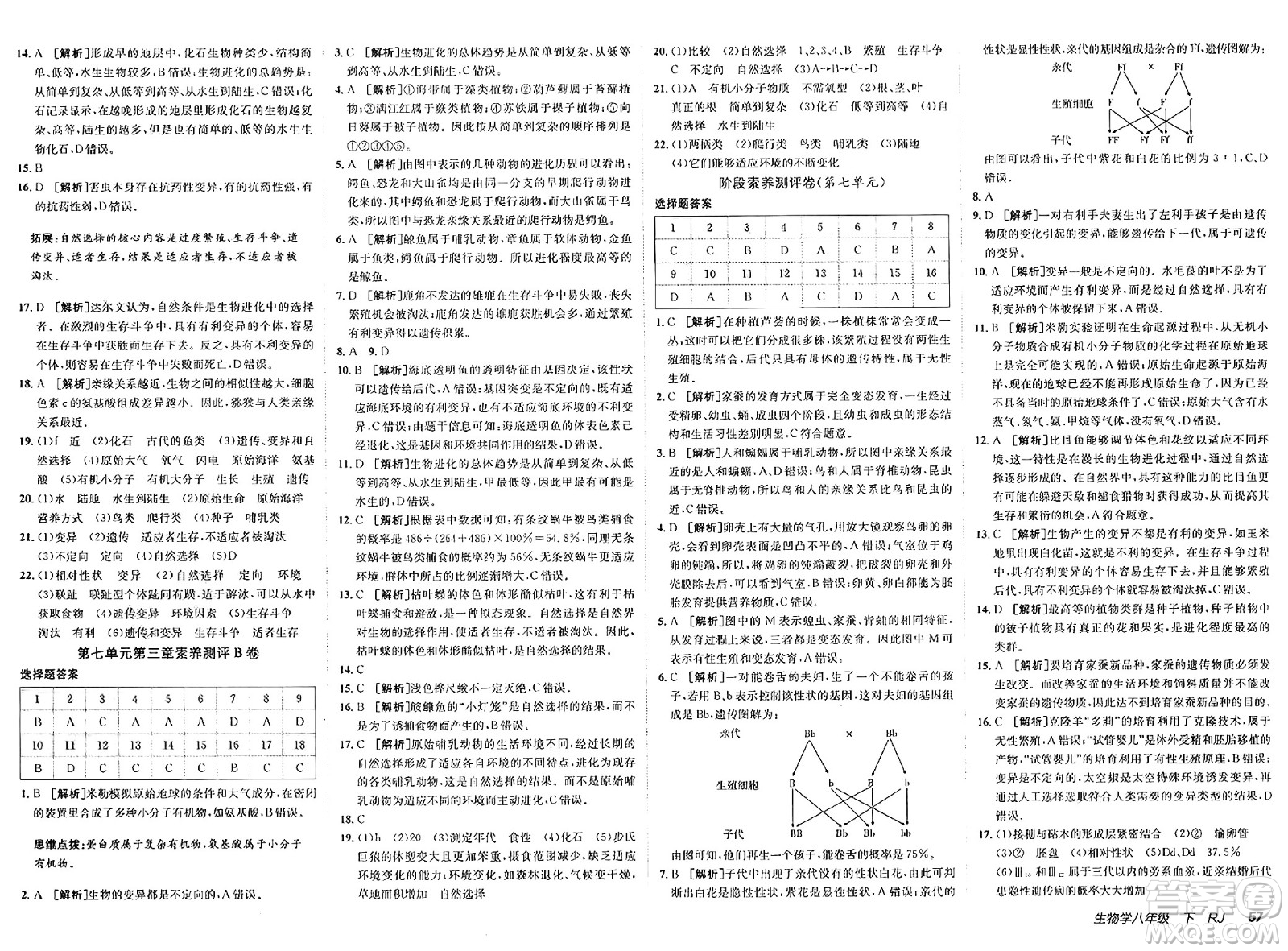 新疆青少年出版社2025年春神龍教育非常海淀單元測(cè)試AB卷八年級(jí)生物下冊(cè)人教版答案