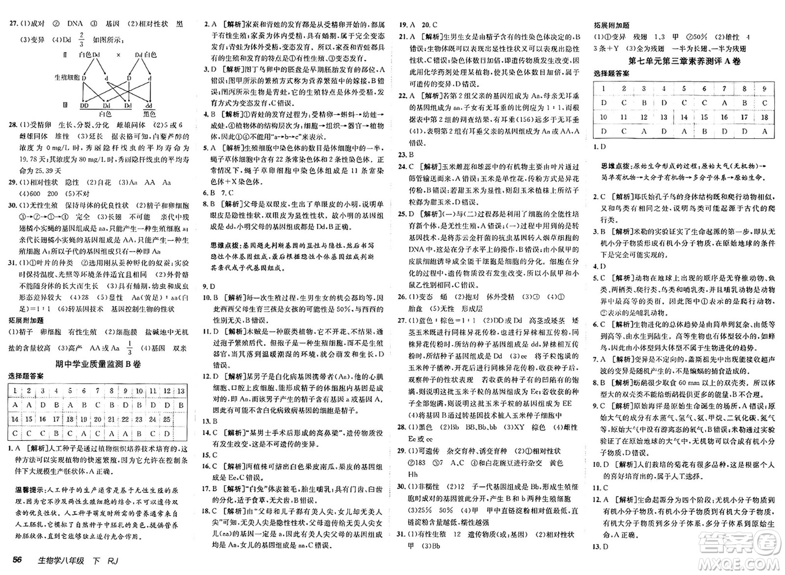 新疆青少年出版社2025年春神龍教育非常海淀單元測(cè)試AB卷八年級(jí)生物下冊(cè)人教版答案