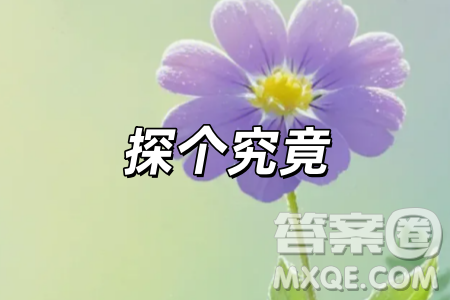 探個(gè)究竟為題作文600字 關(guān)于探個(gè)究竟為題目的中考作文600字