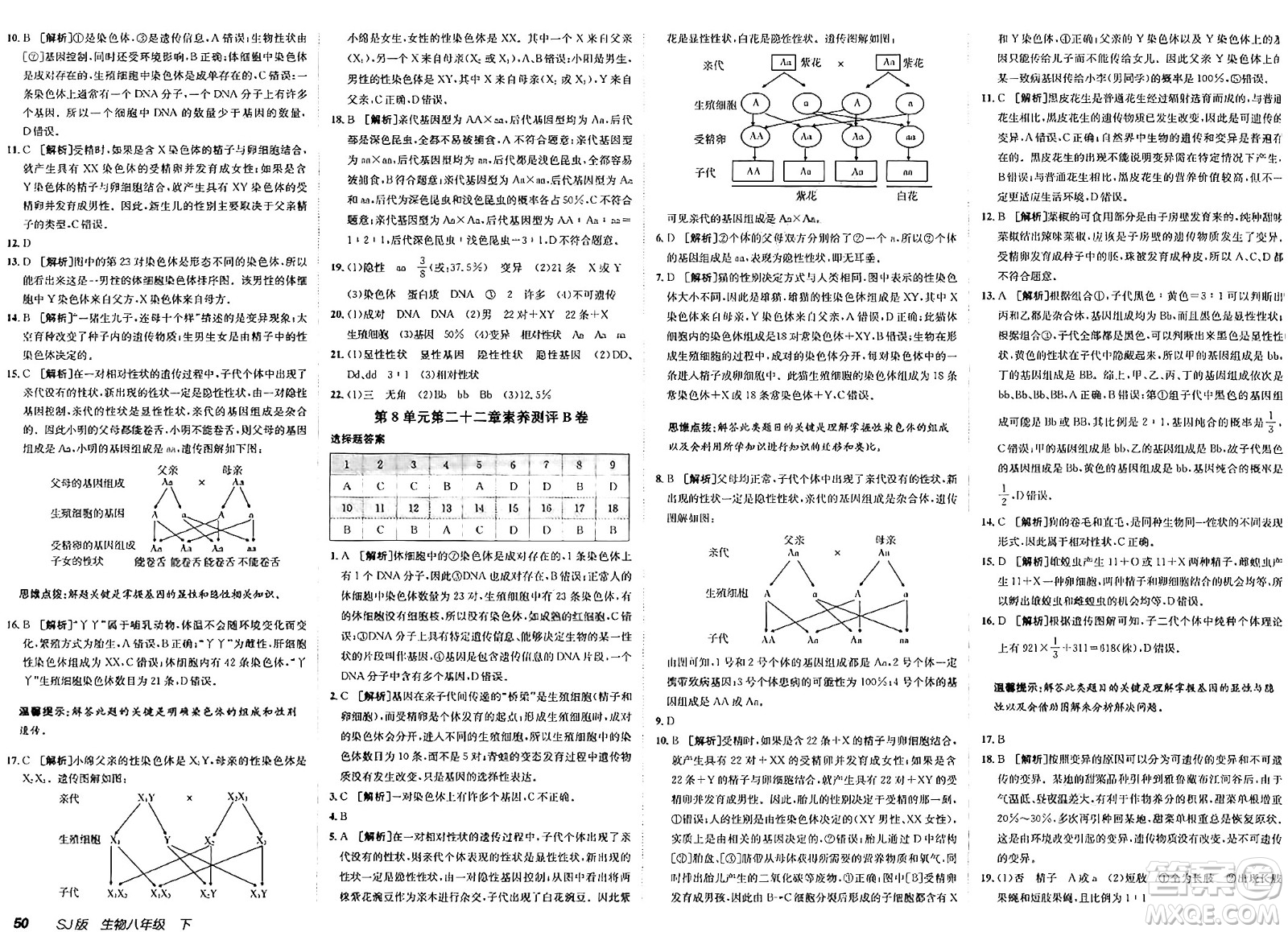 新疆青少年出版社2025年春神龍教育非常海淀單元測(cè)試AB卷八年級(jí)生物下冊(cè)蘇教版答案