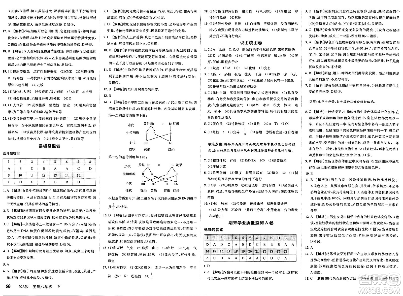 新疆青少年出版社2025年春神龍教育非常海淀單元測(cè)試AB卷八年級(jí)生物下冊(cè)蘇教版答案