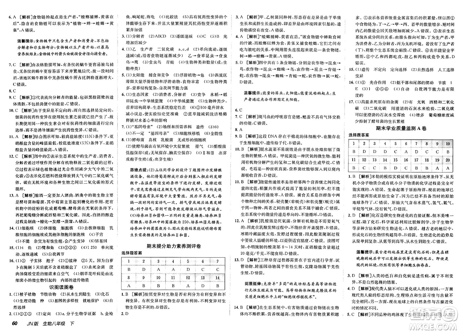 新疆青少年出版社2025年春神龍教育非常海淀單元測試AB卷八年級生物下冊濟(jì)南版答案