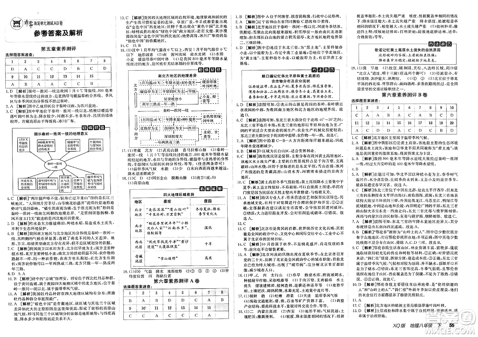 新疆青少年出版社2025年春神龍教育非常海淀單元測試AB卷八年級地理下冊商務(wù)星球版答案