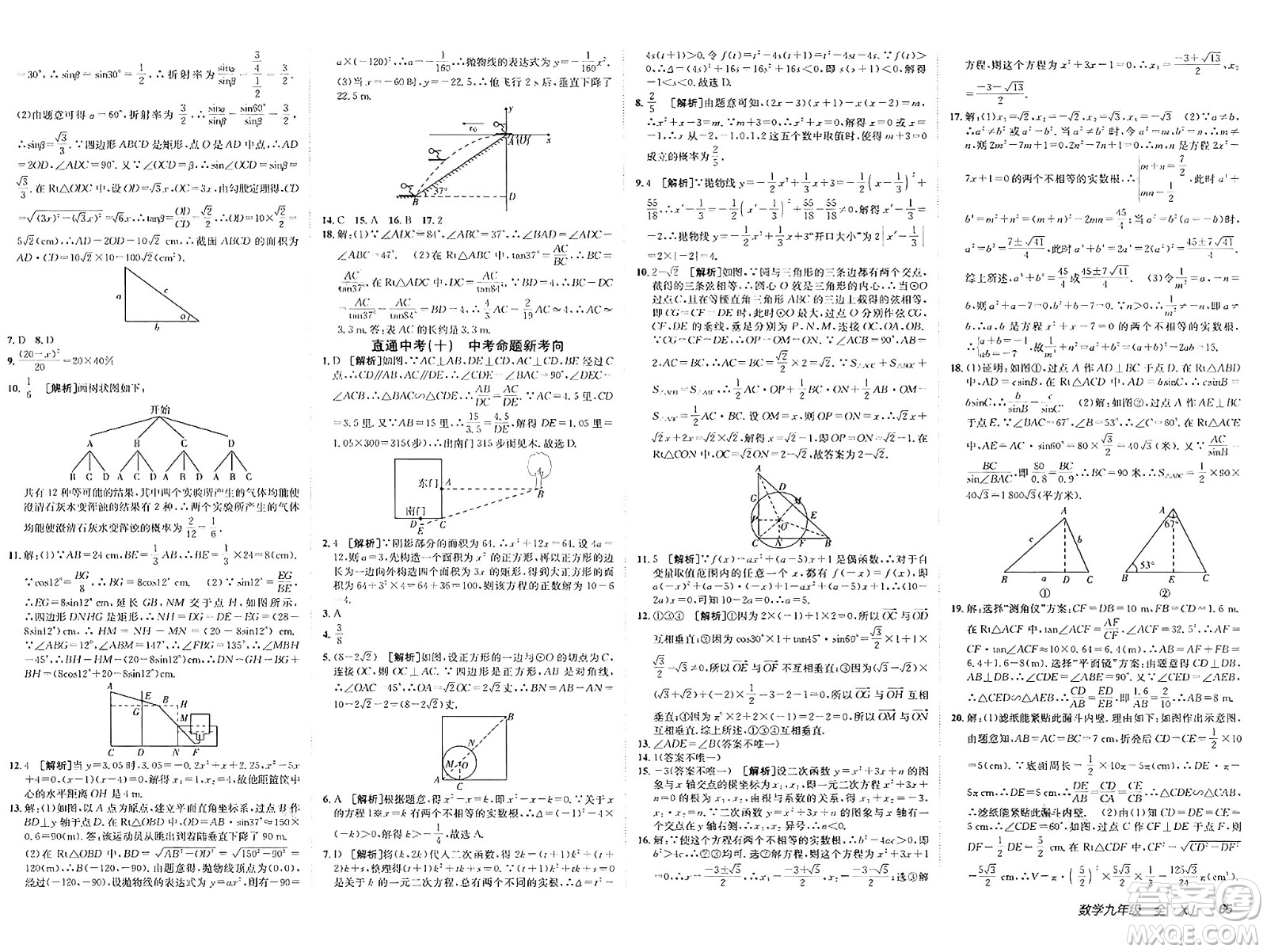 新疆青少年出版社2025年春神龍教育非常海淀單元測試AB卷九年級數(shù)學下冊湘教版答案