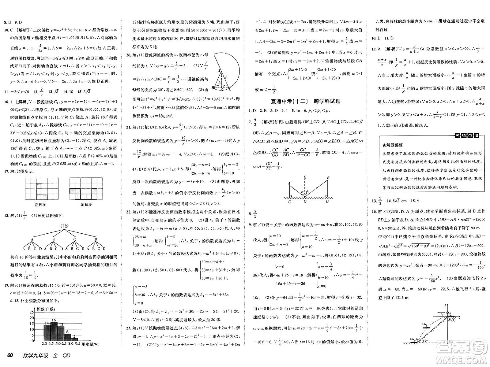 新疆青少年出版社2025年春神龍教育非常海淀單元測試AB卷九年級(jí)數(shù)學(xué)下冊(cè)青島版答案