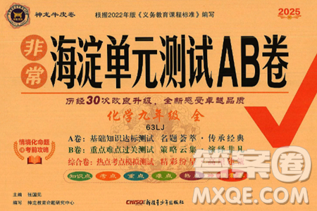 新疆青少年出版社2025年春神龍教育非常海淀單元測試AB卷九年級化學(xué)下冊魯教版答案