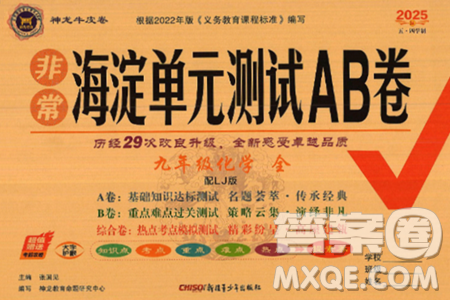 新疆青少年出版社2025年春神龍教育非常海淀單元測試AB卷九年級(jí)化學(xué)下冊(cè)魯教版五四制答案