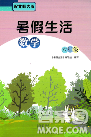 海燕出版社2025年暑假生活六年級(jí)數(shù)學(xué)全冊(cè)北師大版答案