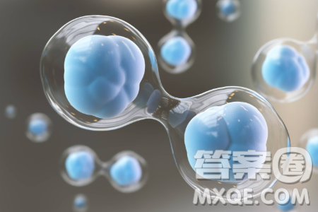 以細(xì)胞為主題的作文600字 關(guān)于以細(xì)胞為主題的作文600字
