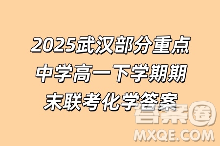 2025武漢部分重點(diǎn)中學(xué)高一下學(xué)期期末聯(lián)考化學(xué)答案