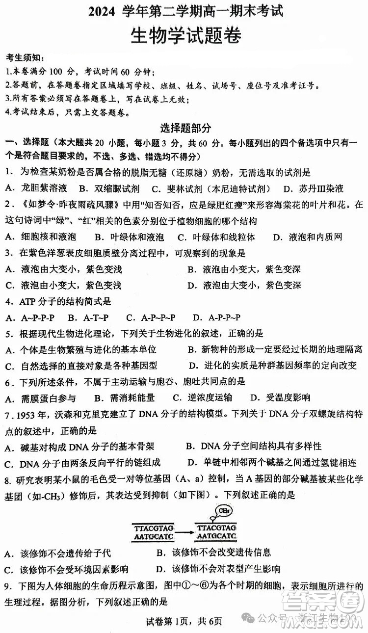 ?2025年6月慈溪高一期末考試生物試卷答案