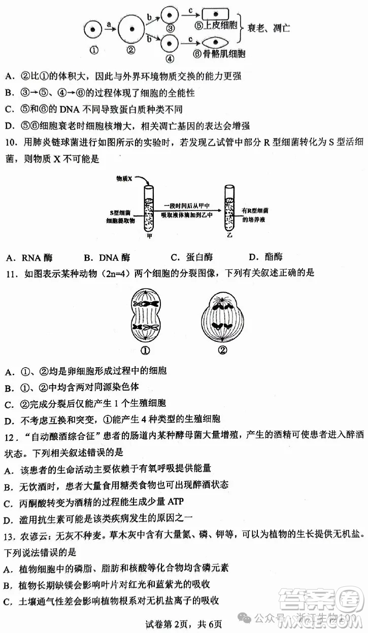 ?2025年6月慈溪高一期末考試生物試卷答案