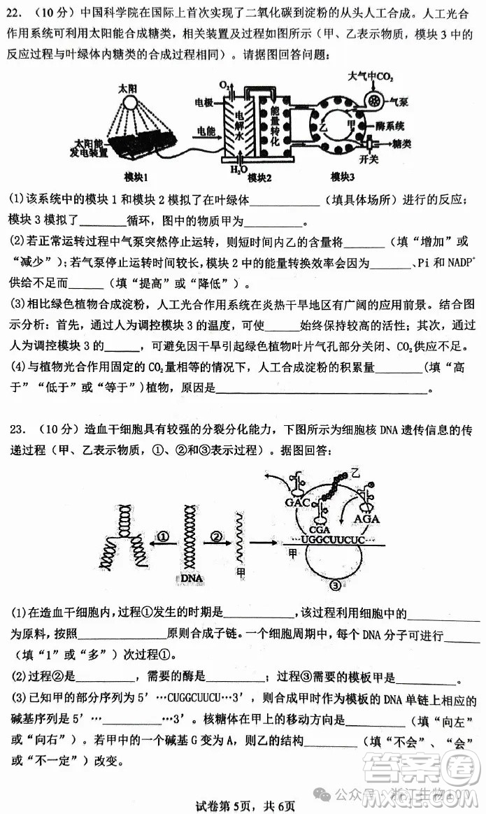 ?2025年6月慈溪高一期末考試生物試卷答案