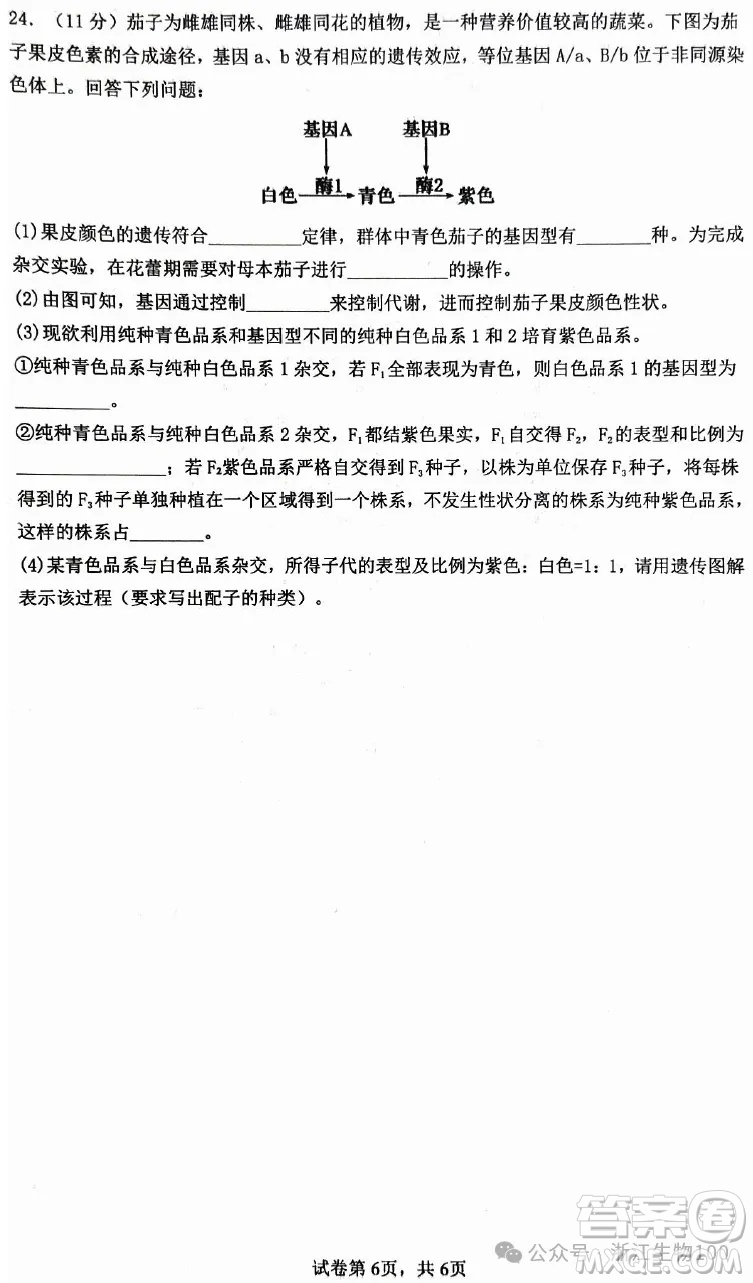 ?2025年6月慈溪高一期末考試生物試卷答案