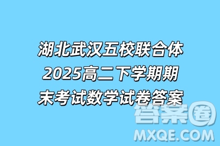湖北武漢五校聯(lián)合體2025高二下學(xué)期期末考試數(shù)學(xué)試卷答案