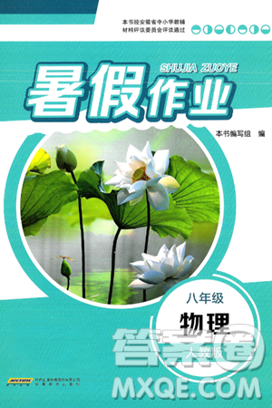 安徽教育出版社2025年暑假作業(yè)八年級物理全冊人教版答案