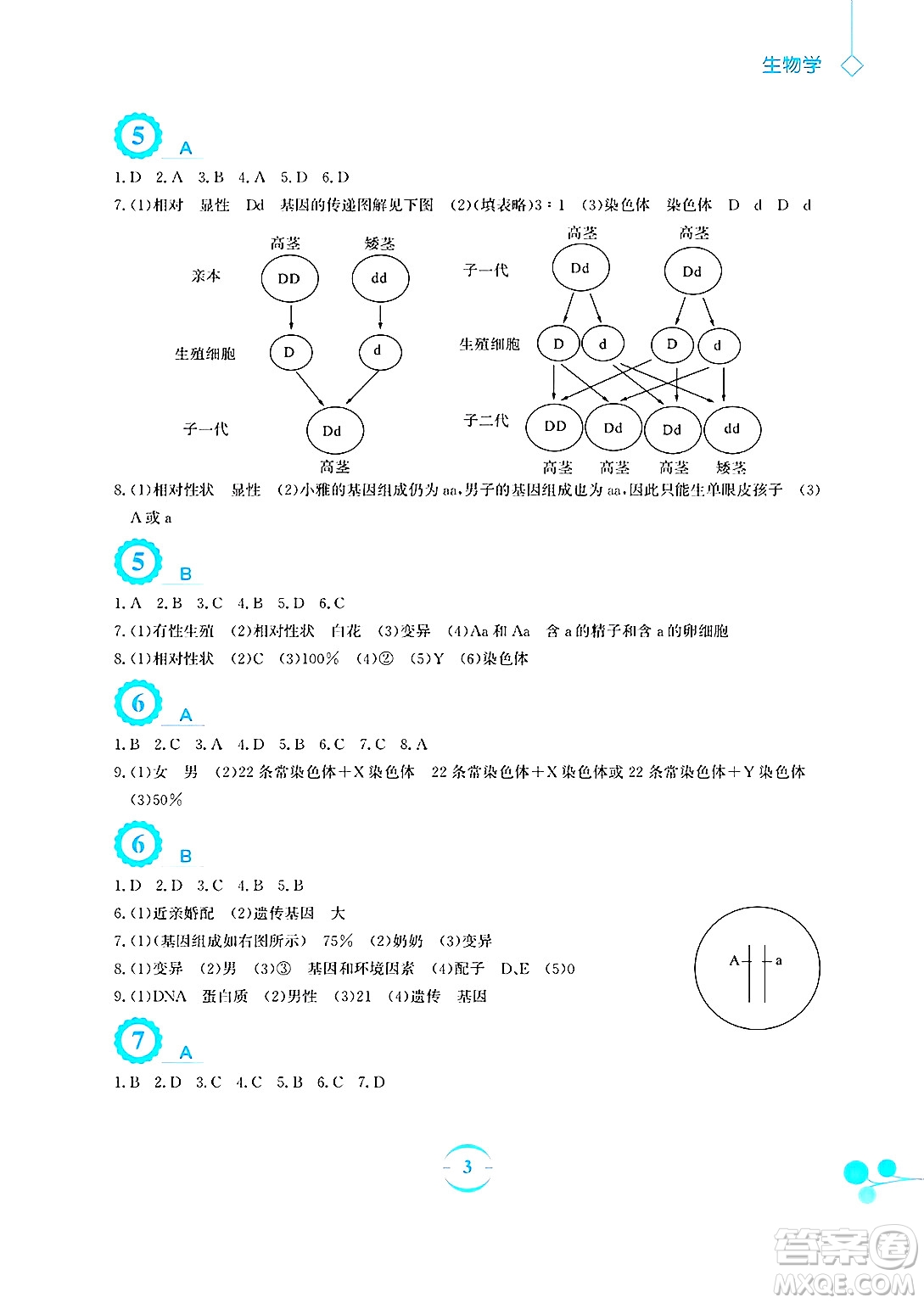 安徽教育出版社2025年暑假作業(yè)八年級生物全冊蘇教版答案