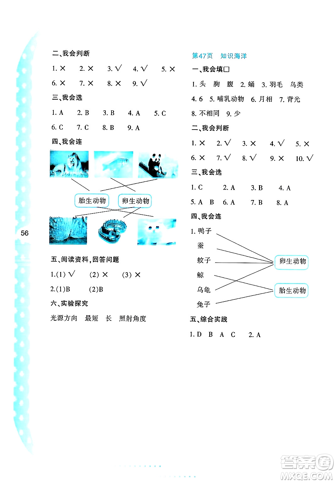 陜西人民教育出版社2025年陜教出品暑假作業(yè)與生活三年級(jí)科學(xué)全冊(cè)K版答案