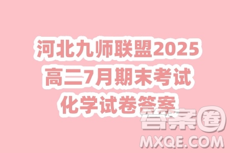 河北九師聯(lián)盟2025高二7月期末考試化學(xué)試卷答案
