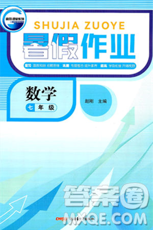 新疆青少年出版社2025年高效課堂系列暑假作業(yè)七年級數(shù)學(xué)全冊通用版答案